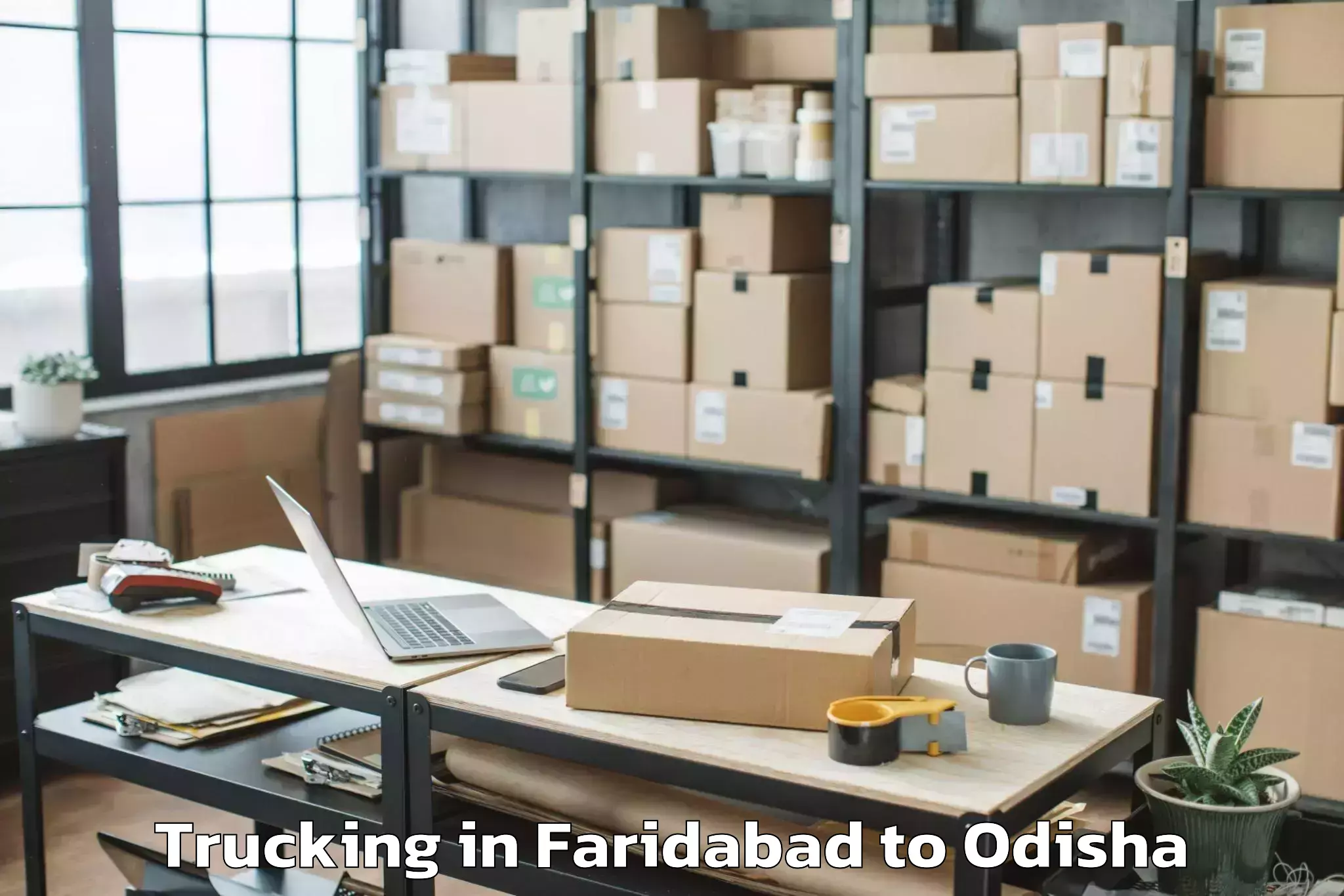 Book Faridabad to Tarbha Trucking Online